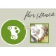 Ambientador coche Flor Blanca