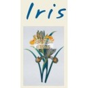 Mikado Iris