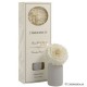 Camelia Perfumada