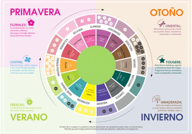 ¿Qué son las equivalencias de caravanas?